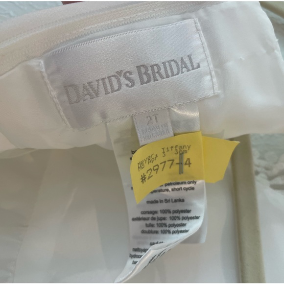 David’s Bridal | Crochet Cap Sleeve Ruffle Flower Girl Dress | Size 2T - Picture 3 of 5